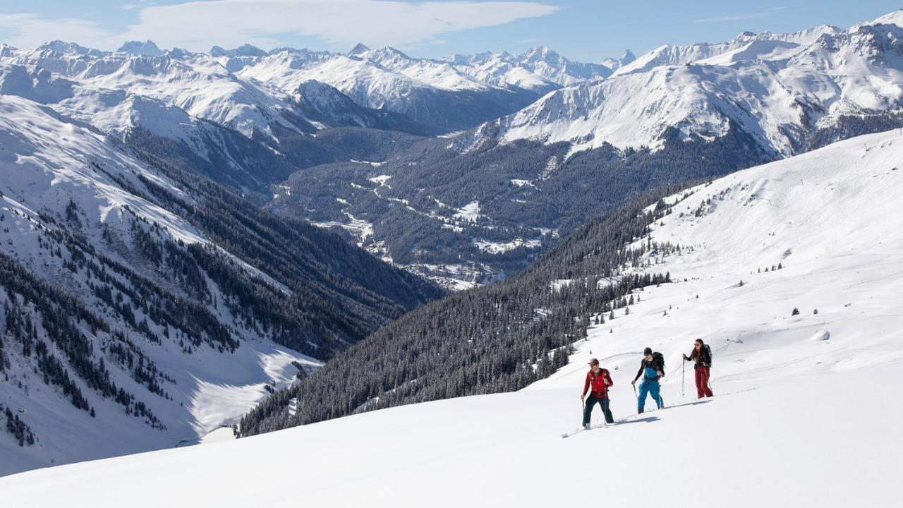 Steinbock Klosters
